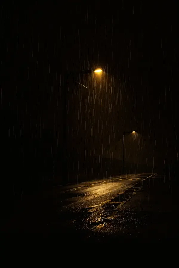 根系之下 - 橘子影院 犯罪剧集根系之下海报,雨后城市街道上撑裂路面的树根与路灯下侦探剪影